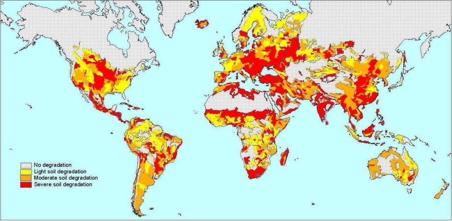 Situación de degradación de los suelos en el mundo