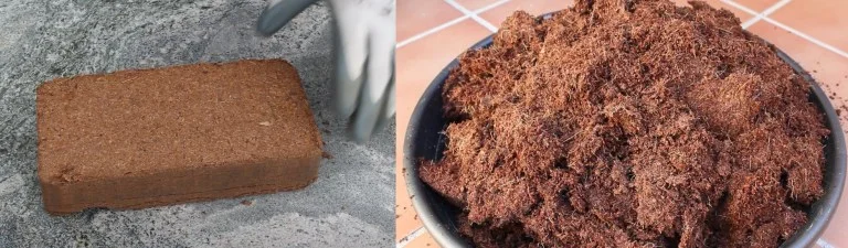 fibra de coco antes y después