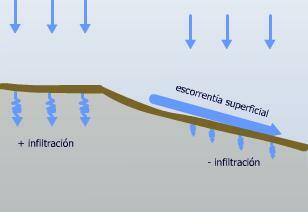 Infiltraci n De Agua Art culos Medioambiente Tu Jard n Desde Cero Infiltraci n De Agua Art culos Medioambiente Tu Jard n Desde Cero