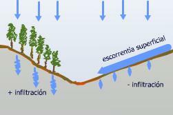 Infiltraci n De Agua Art culos Medioambiente Tu Jard n Desde Cero Infiltraci n De Agua Art culos Medioambiente Tu Jard n Desde Cero