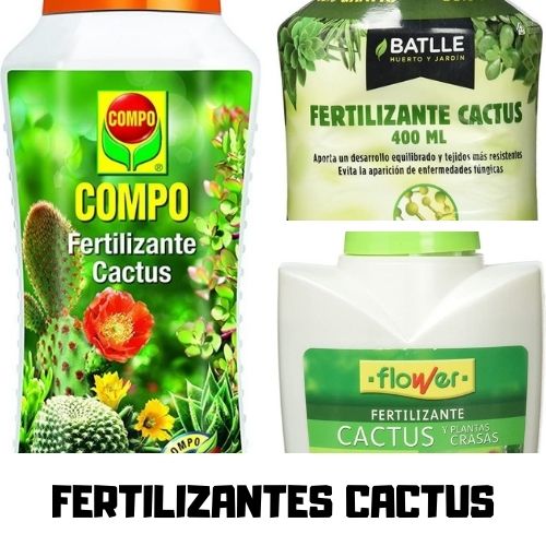fertilizantes cactus
