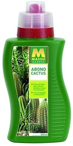 fertilizante para cactus massó